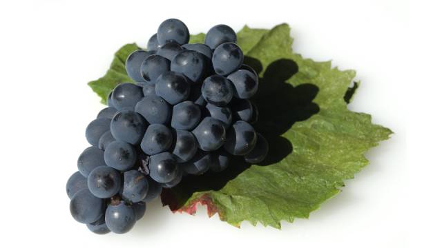 Racimo uva syrah