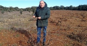 José Gordón en una parcela rescatada de Mencía