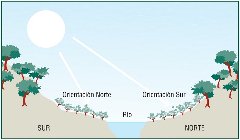 Cara norte y cara sur