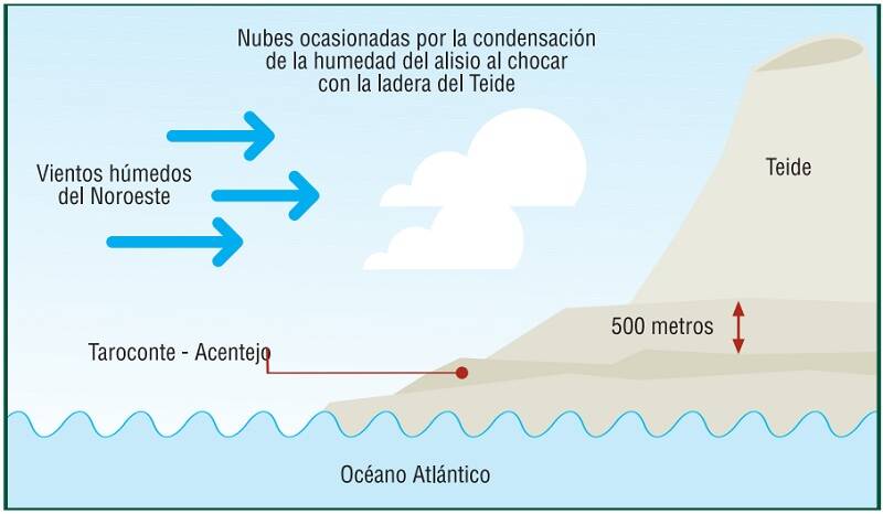 Influencia de las nubes en el viñedo