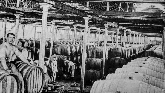 Bodega Scholtz 1900