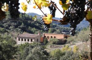 Celler Mas del Botó en la naturaleza