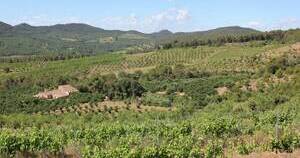 Celler Mas d'en Baiget  - vistas viñedos y bodega